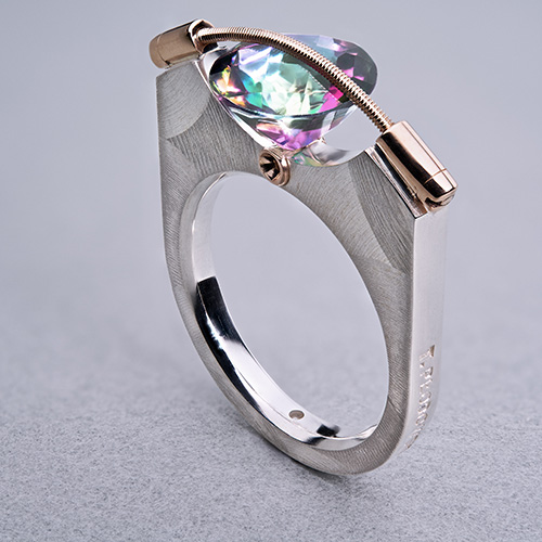 Ring TP710