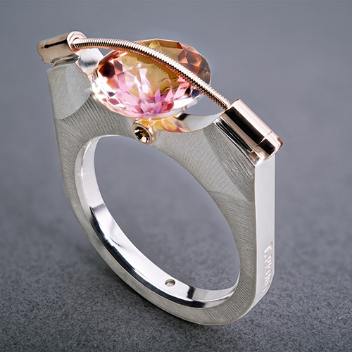 Ring TP710